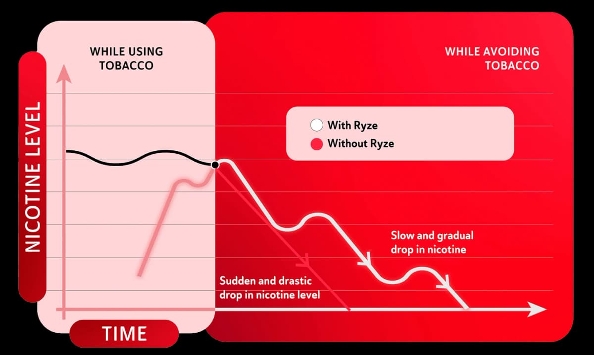 Chart showing the nicotine level drop with consistent Ryze usage